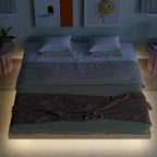 Lit plateforme bas avec lumières LED, taille King, naturel/gris/blanc, convient pour 2 personnes